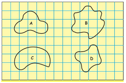 NCERT Solutions for Class 4 Maths - Chapter 13 - Fields And Fences