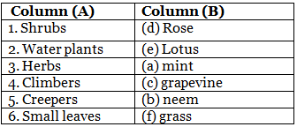 Plants Around Us - 2 Class 1 Worksheet Science