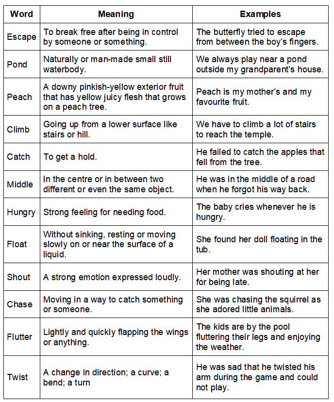 The Yellow Butterfly Summary Class 3 English Unit 5