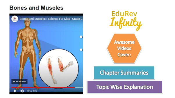 What do you get under EduRev Infinity Package for Class 2? | English for Class 2 (Mridang)