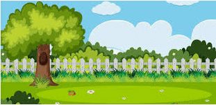 NCERT Solutions for Class 3 English Unit 1 - The Magic Garden