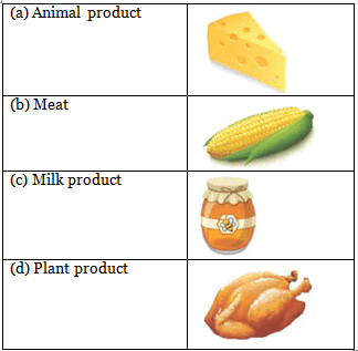 Food we Eat - 1 Class 1 Worksheet EVS