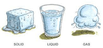 Worksheet Solutions: Water O’ Water! - 1 | EVS for Class 3