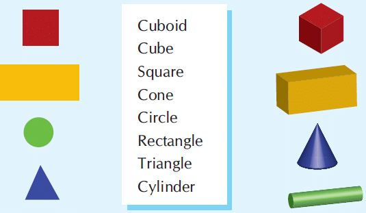 Shapes - 1 Class 1 Worksheet Maths Chapter 1