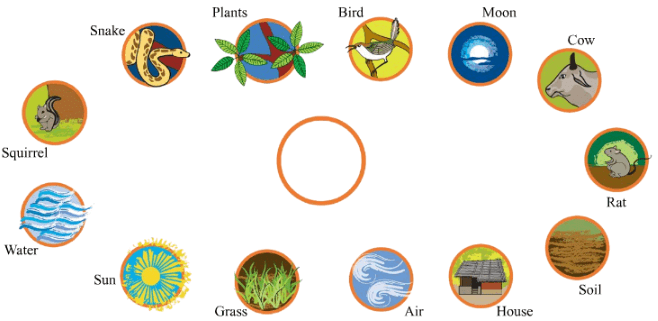 Web of Life NCERT Solutions | EVS for Class 3