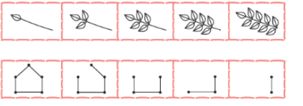 NCERT Solutions for Class 1 Maths Chapter - 10 Patterns