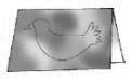 NCERT Solutions for Class 3 English Unit 2 - Nina and the Baby Sparrows