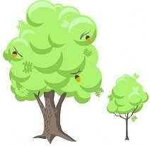Worksheet Solutions: Lina’s Family (Measurement) - 2 | Worksheets with solutions for Class 1