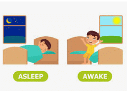 NCERT Solutions for Class 3 English Unit 1 - Good Morning