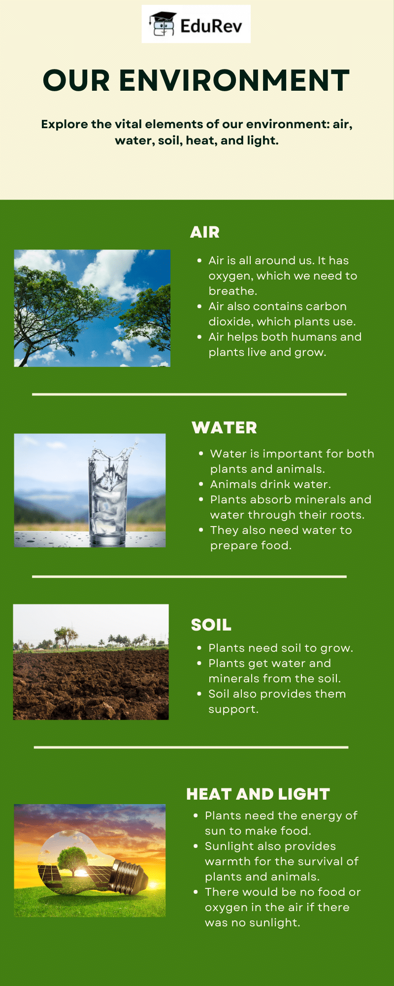 Infographics: Our Environment | Science for Class 3