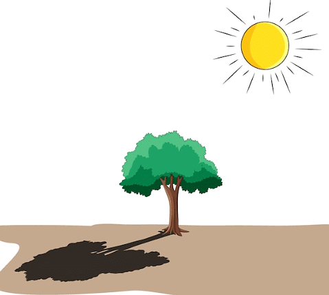 Light and Shadow - 2 Class 2 Worksheet Science