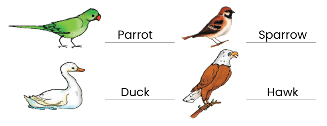 NCERT Solutions for Class 4 EVS Chapter 3 - Nature Trail