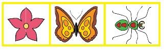 NCERT Solutions for Class 4 Maths - Chapter 9 - Halves And Quarters