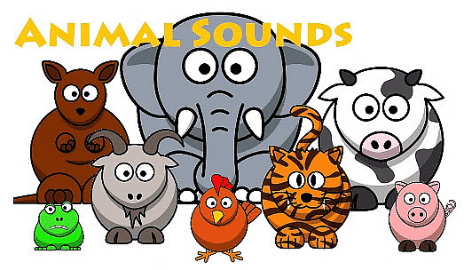 Worksheet Solutions: Poonam’s Day out - 1 | EVS for Class 3