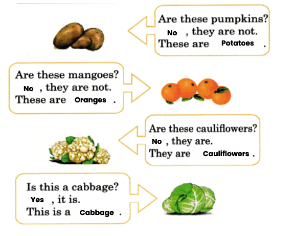 Fun with Pictures NCERT Solutions | English for Class 1 (Mridang)