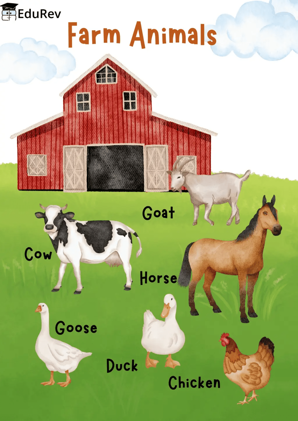 Printable Poster : Farm Animals | Science for Grade 1