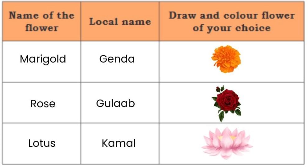 NCERT Solutions for Class 4 EVS Chapter 4 - Growing up with Nature