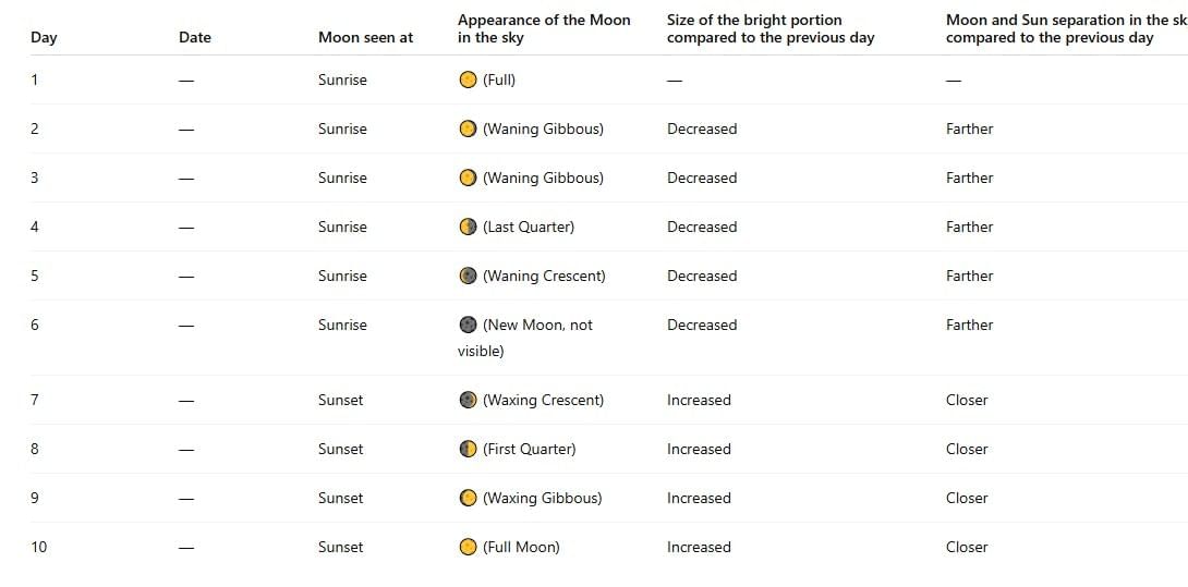 NCERT Based Activity: Keeping Time with the Skies | Science Curiosity Class 8 -  New NCERT