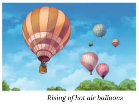 The Amazing World of Solutes, Solvents, and Solutions Chapter Notes | Chapter Notes For Class 8