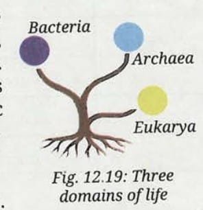 8. Scientific Naming - The Binomial System