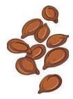 Harvest Hymn NCERT Solutions | English Poorvi Class 8 - New NCERT