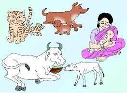 Class 5 Science - Living Things - CBSE Worksheets Solutions - 1