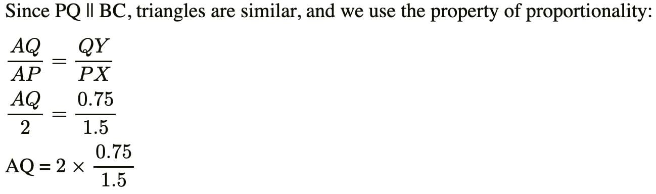 Previous Year Questions Triangles 2025 - Class 10 PDF Download