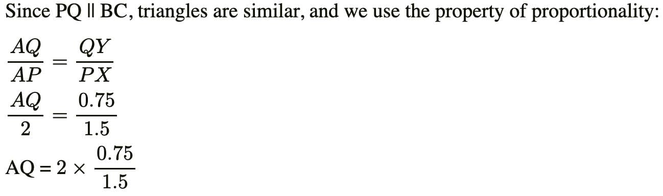 Previous Year Questions 2025