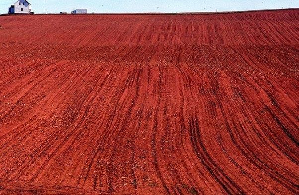 Red Soil