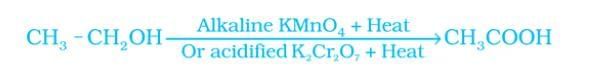 Carbon Compounds Chapter Notes | Earth and Environmental Science for Year 12