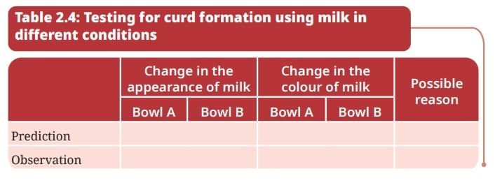 NCERT Based Activity: The Invisible Living World: Beyond Our Naked Eye | Science Curiosity Class 8 -  New NCERT