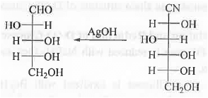 Points to Remember: Biomolecules | Organic Chemistry
