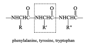 Amino Acids: Properties, Structure & Classification | Organic Chemistry