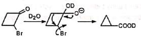 Favorskii Rearrangement - Chemistry