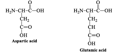 Amino Acids: Properties, Structure & Classification | Organic Chemistry