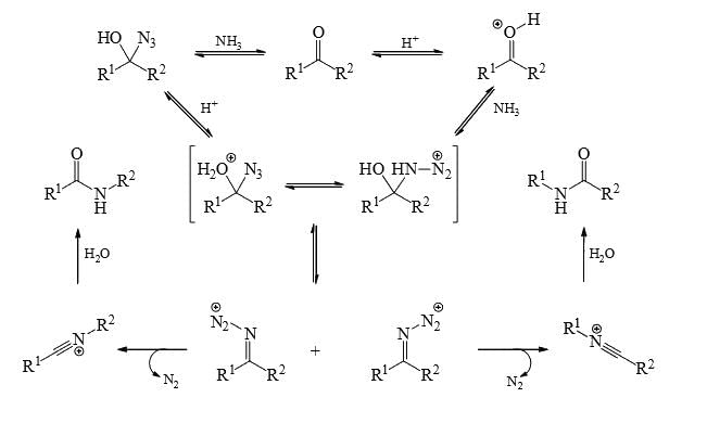 Nitrenes and Carbenes: Stability & Reactions | Organic Chemistry