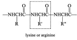 Amino Acids: Properties, Structure & Classification | Organic Chemistry
