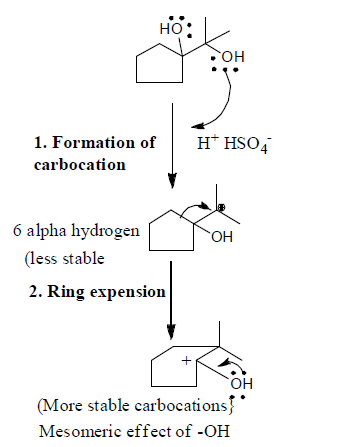 Introduction to Reaction Intermediates & Carbocations | Organic Chemistry