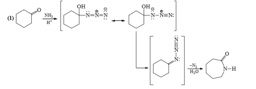Nitrenes and Carbenes: Stability & Reactions | Organic Chemistry