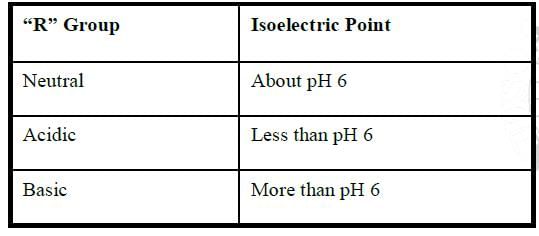 Amino Acids: Properties, Structure & Classification | Organic Chemistry