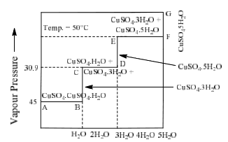 Formation of Compounds with Congruent & Incongruent Melting Point | Physical Chemistry