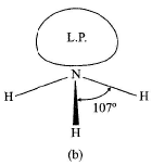 (VSEPR) Theory & Shapes of Molecules | Inorganic Chemistry