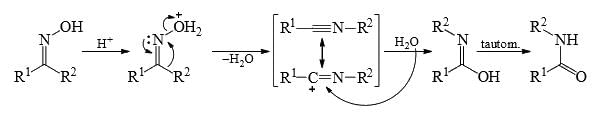 Nitrenes and Carbenes: Stability & Reactions | Organic Chemistry