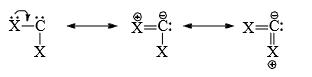 Nitrenes and Carbenes: Stability & Reactions | Organic Chemistry