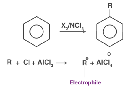 Nucleophilic Substitution Reactions: Sn1 & Sn2 | Organic Chemistry