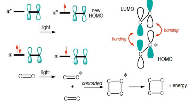 Pericyclic Reactions in Details (Part - 1) | Organic Chemistry