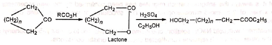 Organic Reactions With Mechanism and Applications (Part -5) | Organic Chemistry