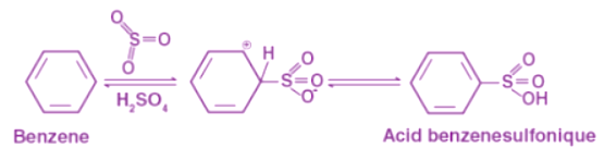 Benzene Electrophilic Substitution: Sulfonation, Nitration & Halogenation | Organic Chemistry