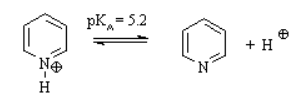 Solved Practice Questions: Aromaticity and Huckel Rule | Organic Chemistry