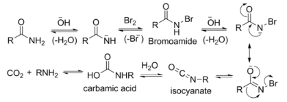 Organic Reactions With Mechanism and Applications (Part -2) | Organic Chemistry